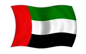 Property For Sale in Dubai